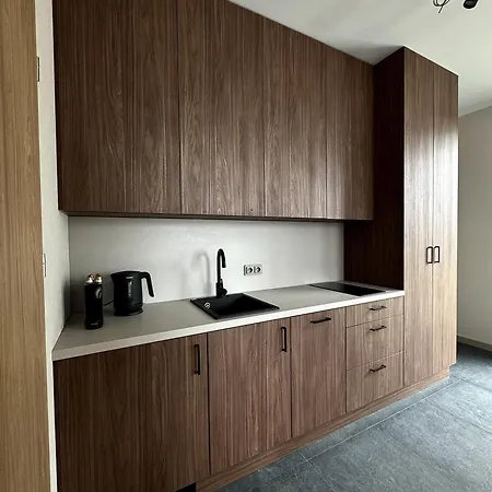 Biale Wierchy Koscielisko 公寓 Witów