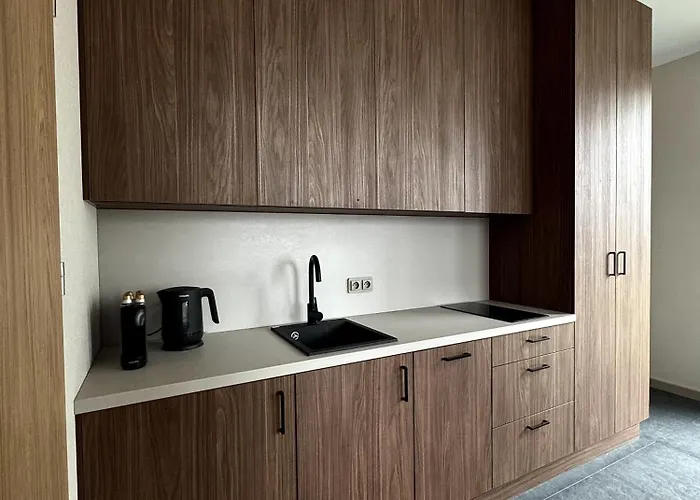 Biale Wierchy Koscielisko Lejlighed Witów